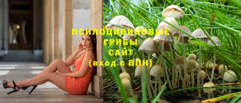 Псилоцибиновые грибы MAGIC MUSHROOMS  Уяр 